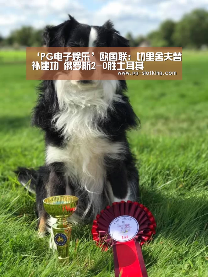 PG麻将官网入口
