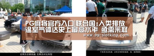 PG棋牌